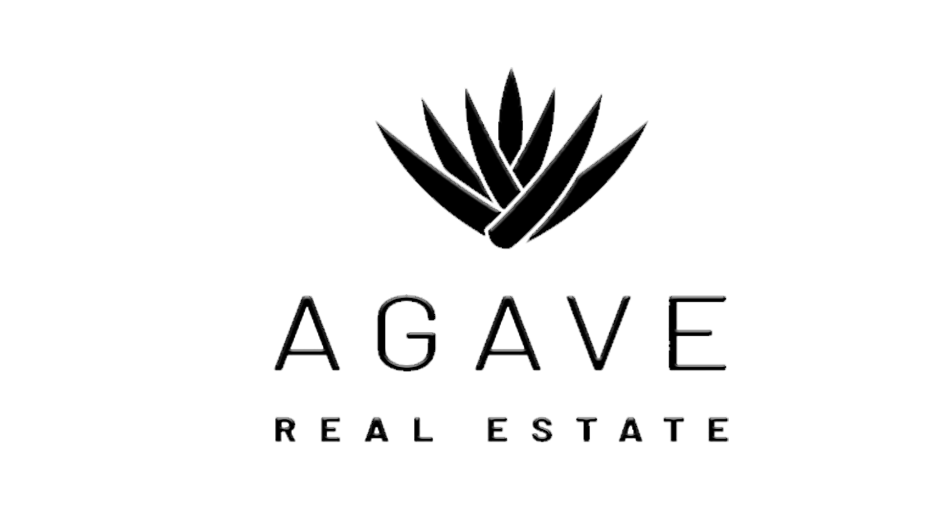 Contact Us – Agave San Miguel Rentals